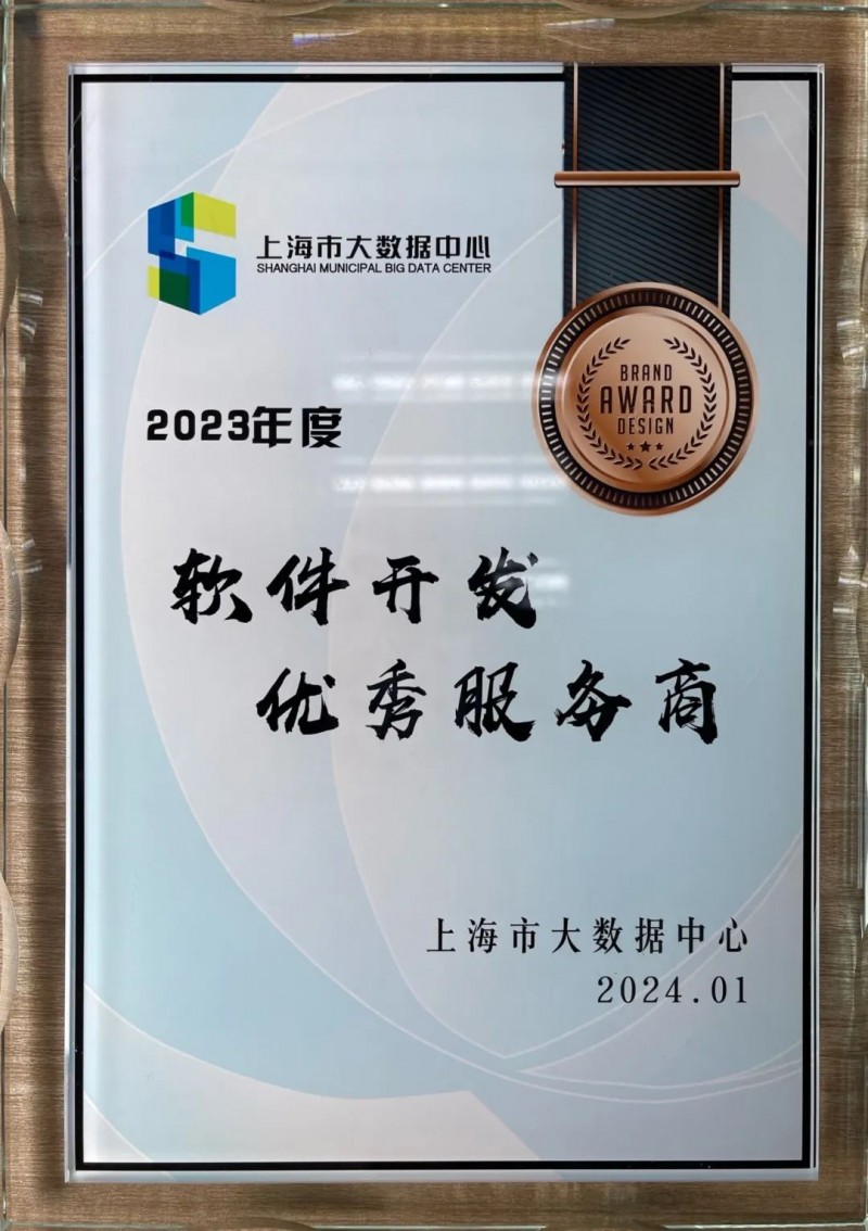 上海软件开发引领创新潮流